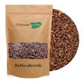 babka płesznik.jpg