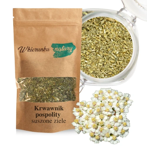 Krwawnik pospolity – suszone ziele do przygotowania naparu 50 g