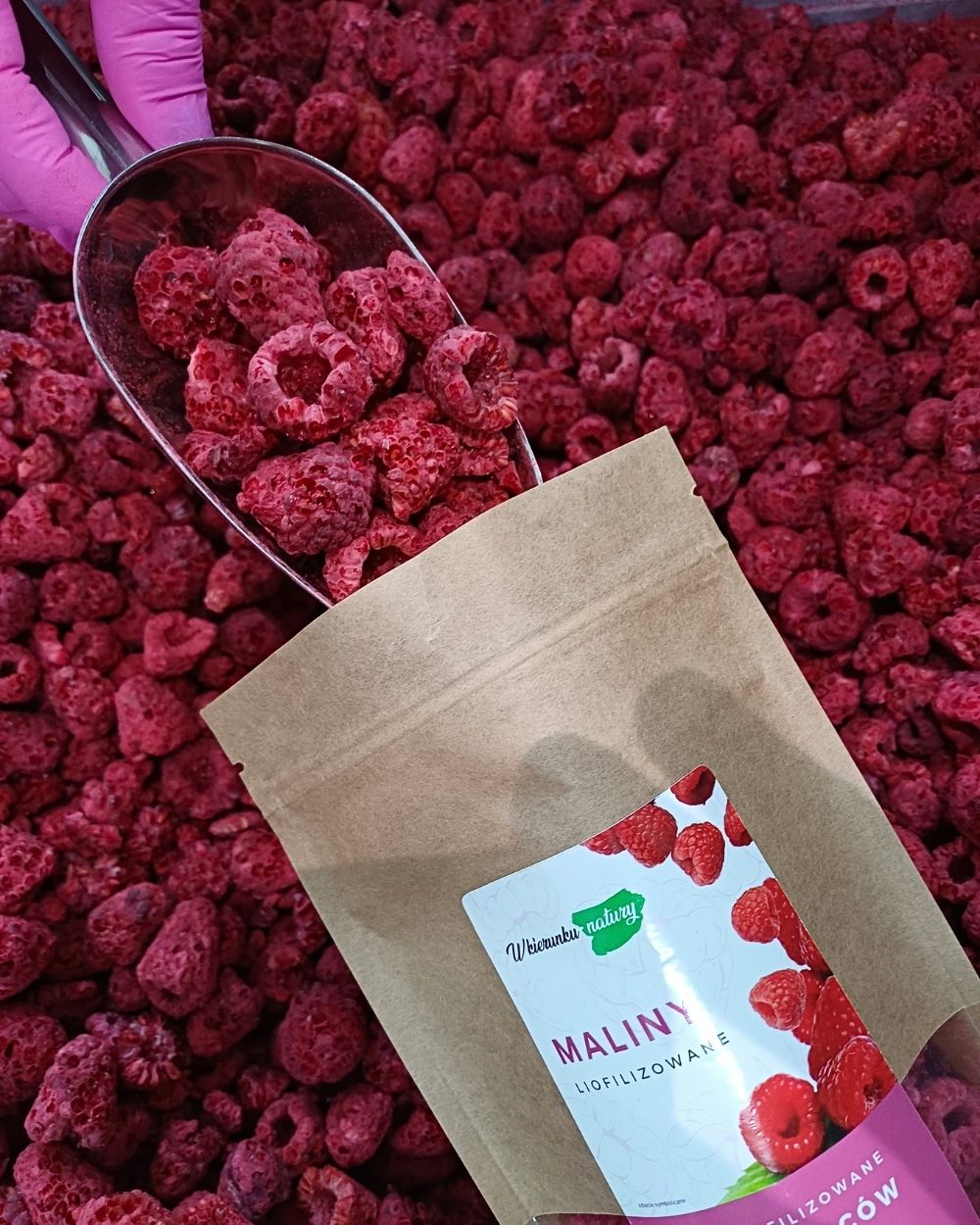 Maliny liofilizowane produkowane przez Stacja Bio